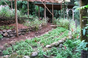 Herbal Garden