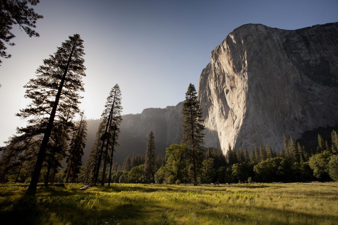 View from the ground looking up at El Capitan in Yosemite National Park. It\'s a sheer cliff face bathed in late afternoon sunlight with a grassy meadow and a few skinny pine trees in the foreground.