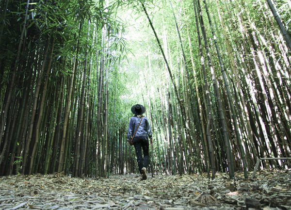Woman with a black hat and denim jacket walking through bamboo forest. 