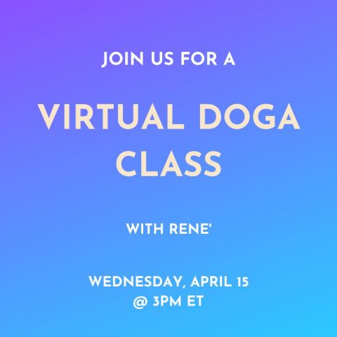 online doga class with Rene\' and Wanderful