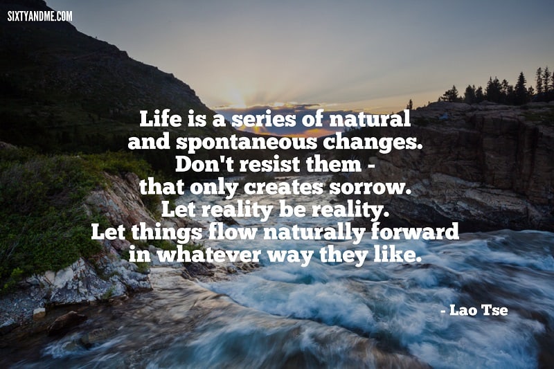 Lao Tse - Life is a series of natural and spontaneous changes